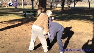 Marin Spivack Chen Taijiquan Martial Applications 2013 1 视频 默灵陈氏太极拳 [upl. by Lemmy]