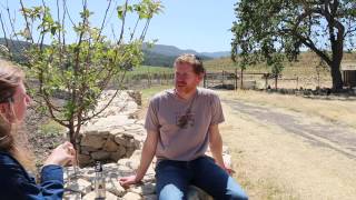 Tablas Creek Jason Haas Rhone Varietals [upl. by Alcock]