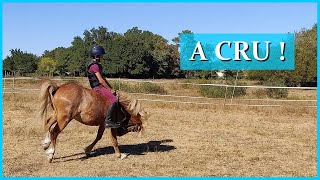 MISE EN SELLE A CRU   Cest vraiment pas évident au galop [upl. by Anuahsat]