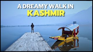 Most Cinematic Dal Lake Video  Nature ASMR [upl. by Kokoruda]