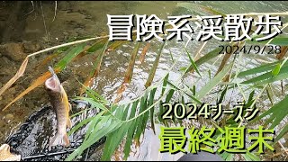 【冒険系 渓散歩】2024シーズン最終週末 2024928【トラウトフィッシング】【サワートレッキング】【トラウトルアーフィッシング】渓流ルアーフィッシング【渓流】 [upl. by Argent]