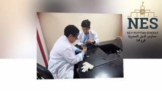 NES Qena  Gr 6 Students Prepare Animals amp Plants Cell [upl. by Dnomhcir]