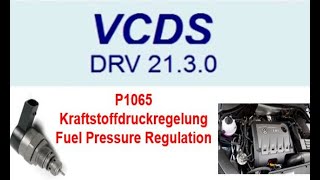 P1065 Kraftstoffdruckregelung Regeldifferenz  VW Audi Seat Skoda  VCDS  Lösung [upl. by Tavia356]