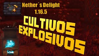 Cultivos Explosivos  Nether´s Delight 1165  Actualización de Mod [upl. by Battat]