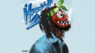 Hoodrich Pablo Juan  Not To Be Trusted HoodWolf 2 [upl. by Anitak]