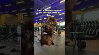 y tu quien eres  Gym en casa con Alejo Wellness [upl. by Dot]