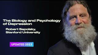 Robert Sapolsky The Biology and Psychology of Depression [upl. by Phyl]