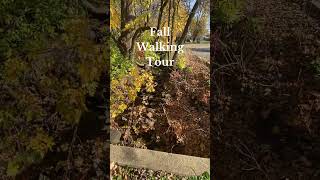 fall walking tour travelwalk nature walkingtour2024 travel walkingtour [upl. by Chamkis361]