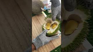 Durian lokal Bali warna dan rasanya mantap🤤🤤😋durianlokal KomangRudysuprawan [upl. by Ethelda553]