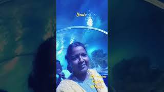 VGP marine kingdom trip Chennai [upl. by Carlyn]