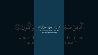 الذين صبروا وعلى ربهم يتوكلون للقارئ عبدالرحمن مسعد 💙 قطوف  تلاوةخاشعة قطوف كروماتقرآن quran [upl. by Lowe987]