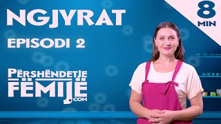 Ngjyrat  Përshëndetje Fëmijë  Sezoni 1  Episodi 2 [upl. by Adrien]