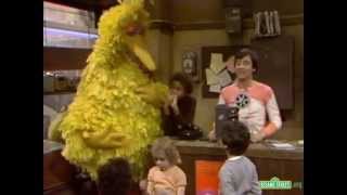 Classic Sesame Street  Big Birds Home Movie [upl. by Yllim]