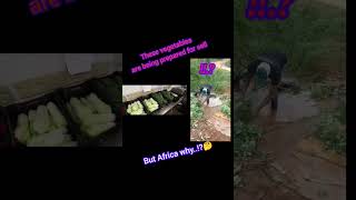 African DNA vegetables market preparation trendingshorts marketmoney [upl. by Eneres]