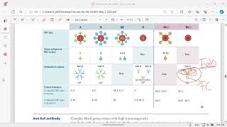 Hematology system Dendritic cells [upl. by Ikairik121]