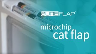 How to learn your cat into the SureFlap Microchip Cat Flap [upl. by Nesyaj]