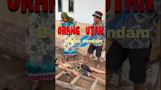 Orang utan balas dendam comedy tertawabiarwaras ngakak funny tertawaseharian lucu [upl. by Uliram865]