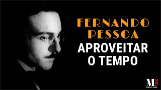 Aproveitar O Tempo  Poema de Fernando Pessoa com narração de Mundo Dos Poemas [upl. by Atirak]