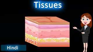 Tissues  3D animated explanation  class 9th amp 11th science  Tissues [upl. by Lotsyrc816]