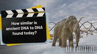 ASK A SCIENTISTHow similar is ancient DNA to DNA found today [upl. by Robinette266]