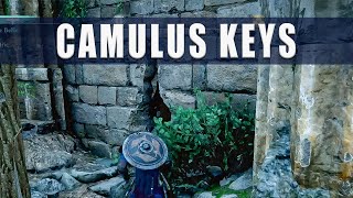 Assassins Creed Valhalla Derelict Shrine of Camulus keys  Camulus gold chest and Ingot [upl. by Sinylg491]