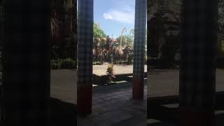 Barong dance bali barongan bapangbarong fypシ゚viral hiburan nature [upl. by Auberon851]