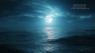 Ocean and full moon Live Wallpaper [upl. by Dnaletak861]