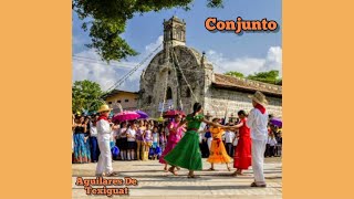 Vagando Paso La Vida  Conjunto Aguilares De Texiguat [upl. by Ahsim]