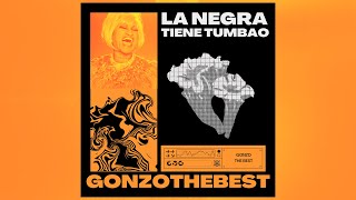 La negra tiene tumbao Gonzo VIP RMX  Tech House Remix [upl. by Trixy]