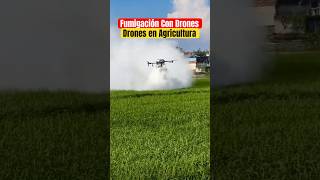 Aspersión con Drones drones short shortvideo agro fumigacion drones cultivos dji djiagras [upl. by Eisteb]