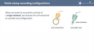 S1E4 The patch clamp technique [upl. by Terrilyn915]