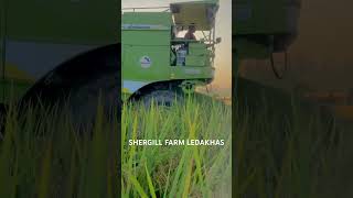 COMBINE SHERGILL FARM LEDA KHAS song newsong music trend automobile trending viralvideo [upl. by Palmer]