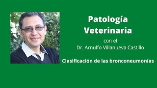 Patología Sistémica Veterinaria Clasificación de las bronconeumonías [upl. by Ojyllek992]