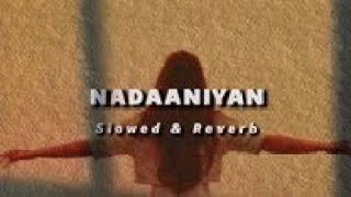 Nadaaniyan slowedreverbAkshath Acharya  Lofi songs  TR Music [upl. by Nolram]