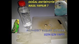 Kuşlar İçin Doğal Antibiyotik Yapımı Tedavi Ettiği Hastalıklar Making Natural Antibiotics for Birds [upl. by Dacy]