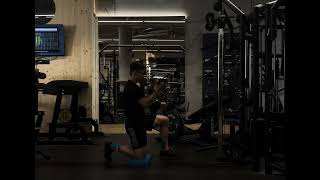 Row  High Pulley  Half Kneeling  Pronating to Supination  Power  SA  Contralateral [upl. by Arrec528]