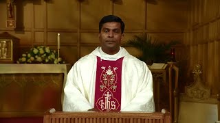 Catholic Mass Today  Daily TV Mass Wednesday May 15 2024 [upl. by Yrrum]