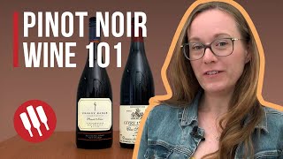 Pinot Noir Everything you need to know  Grapes 101 [upl. by Kelsy]