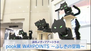 調布メディアアートラボ「pook展 WAYPOINTS～ふしぎの空路～」2024年7月20日号 [upl. by Annahsar]