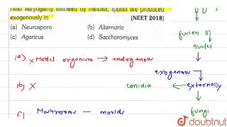 After karyogamy followed by meiosis spres are produced exogenously in [upl. by Niletac631]