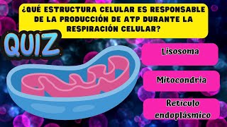 🧬🧠Examen de bioquímica🦠🔬 ¿Cuánto sabes de las biomoléculas y la célula QuiztestExamen UNAM [upl. by Sugar]