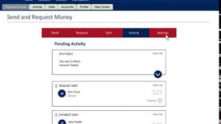 Zelle Activity amp Settings [upl. by Aviv448]
