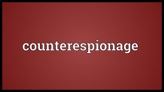 Counterespionage Meaning [upl. by Veda]