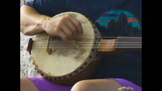 playing a homemade gourd banjo by the lake for some geese [upl. by Newo732]