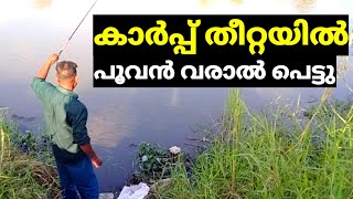 Fishing malayalam  Kerala fishing video  Maneesh Fish hunting channel [upl. by Mast10]