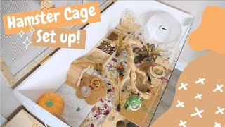 Setting Up a Hamster Cage [upl. by Borden]