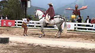 Zapateando JuyayayAnimal Park BañosEcuador [upl. by Maurilia]