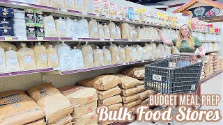 BULK FOOD STORE SHOP BUDGET MEAL PREP  FOOD STORAGE PANTRY TOUR CANNING RECIPES LARGE FAMILY MEALS [upl. by Hanselka]