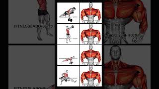 Dumbbell Upper Body Workofitnessgymexerciseworkoutworkoutvideosbodybuildingfitnessmotivation [upl. by Arvy]