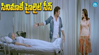 Endukante Premanta Movie Scene  ఈ సీన్ చూస్తే మతిపోతుంది భయ్యా  iDream Eluru [upl. by Melvyn]